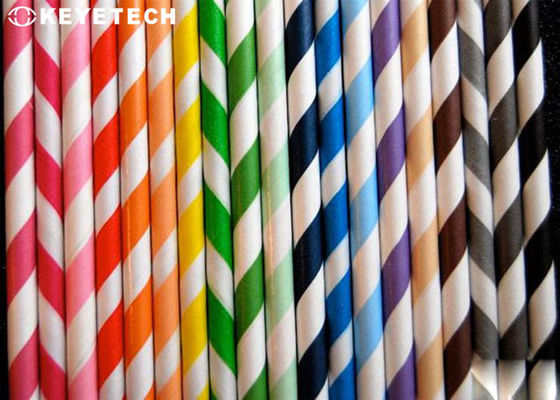 AI Vision Inspection System Equipment For Roll Packaging Paper Straws