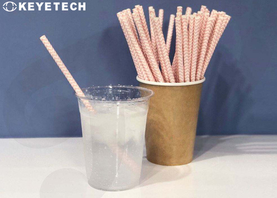 Automated Vision Inspection Systems For paper drinking straws