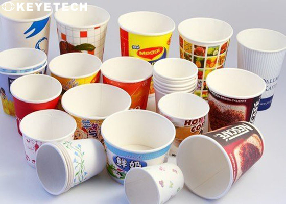 GMP Workshop AI Visual Cap Inspection System For Disposable Paper Cup