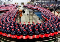 Fully Automated Vision Inspection Systems For 1L Coca Cola Empty Bottles