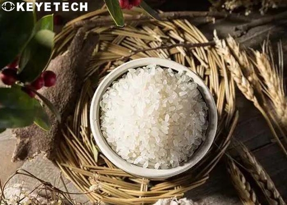 Lab Analytical Rice Food Checking Machine Testing For QC Center