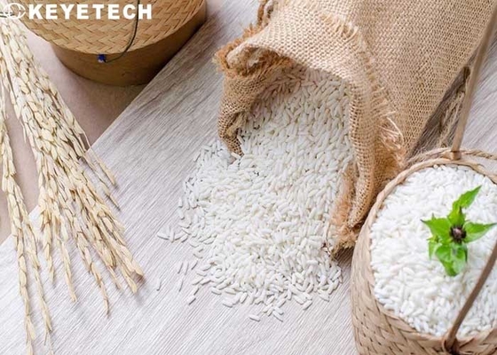 SS 304 Material Rice Testing Machine Vision System For Grain Depot