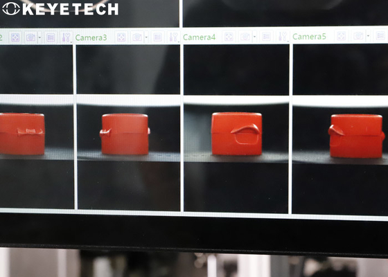 On-line Detector Equipment Cap Inspection System to Check False Accepts