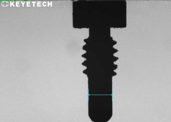 Screw Visual Inspection System With Linear Array Camera Type Full Automated