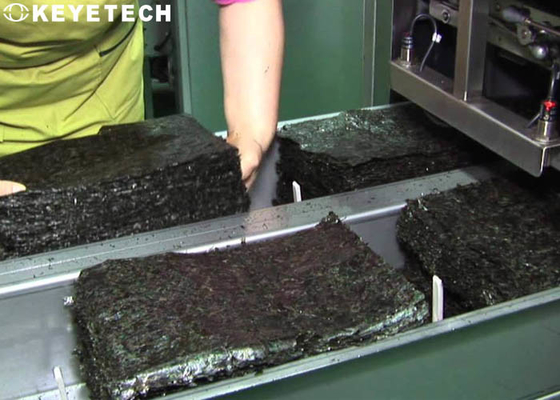 Seaweed Crisps Integrity Visual Inspection System With An Alarm Design