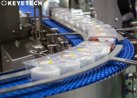 Visual Inspection System Application In Food Package Label Safety Control
