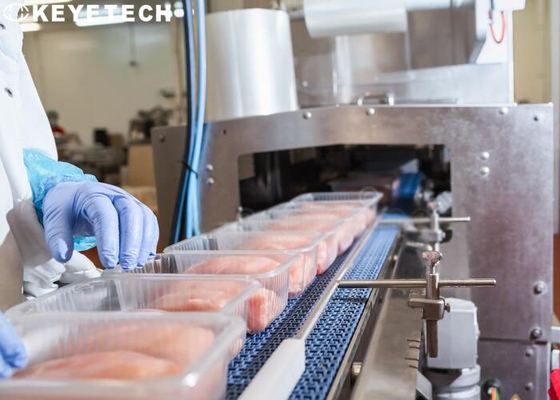 Packaging Inspection Equipment For PP Plastic Disposable Food Containers