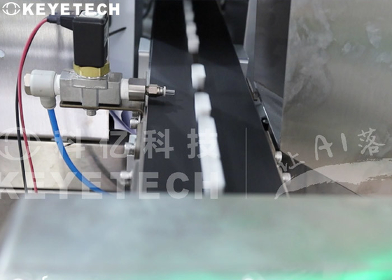 Pharmaceutical Nozzle Caps Visual Inspection Machine With Ai Intelligent System