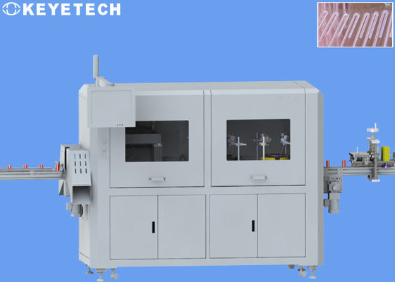 Roll Package Beverage Straw Vision Inspection Machine with Labeling Device