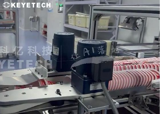 AI Based Camera Inspection Machine Before IML Cup Loading and Stacking