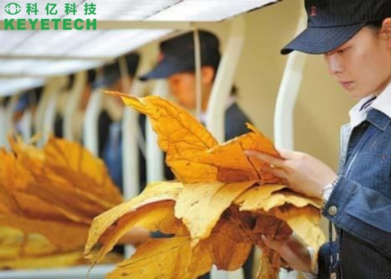 KEYE Tobacco Leaf Automatic Vision Sorting Machine For Quality Inspection