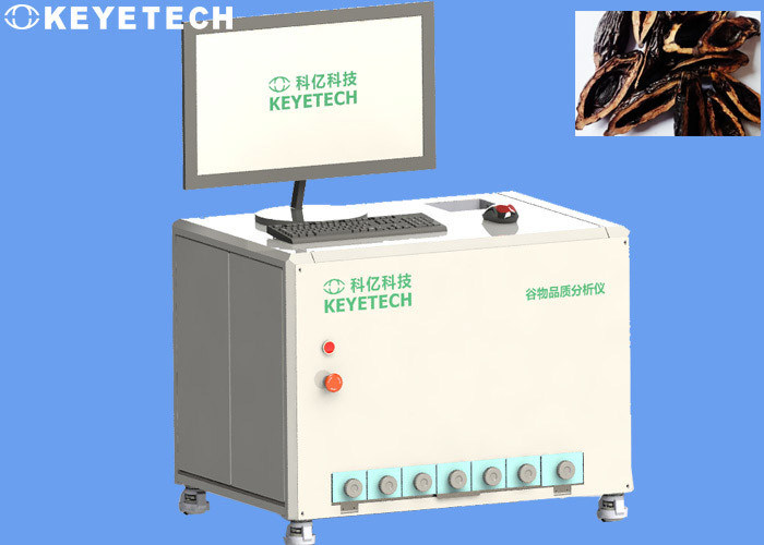 Betel Nut Counting Vision System Inspection Equipment with CCD Camera