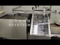 Pharma Cap Vision Sorting Machine