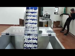 Helicap Vision Sorting Machine