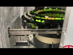 Spout Cap Sorting Machine-short neck