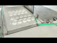 Paper Coffee Lid Sorting Machine